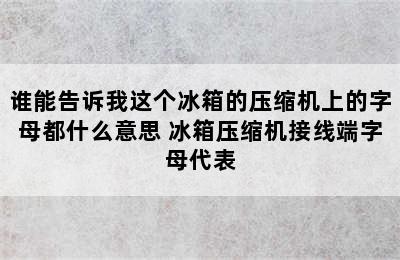 谁能告诉我这个冰箱的压缩机上的字母都什么意思 冰箱压缩机接线端字母代表